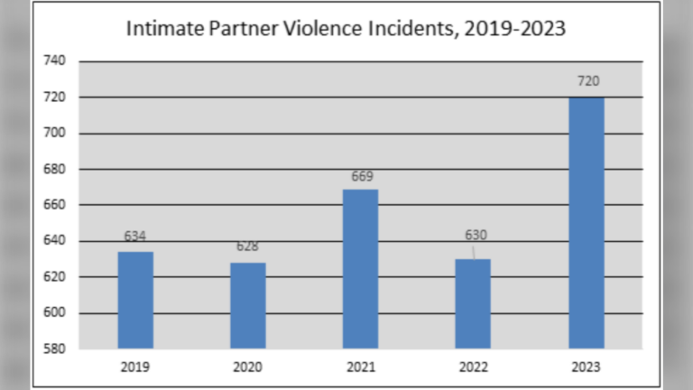 Saskatoon saw a 14 per cent rise in intimate partner violence last year, police say