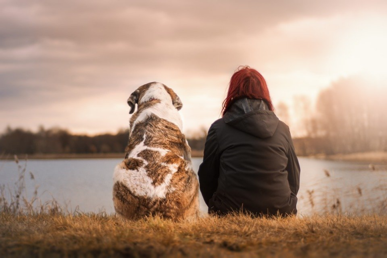 A Hidden Barrier to Safety: Pets and Intimate Partner Violence